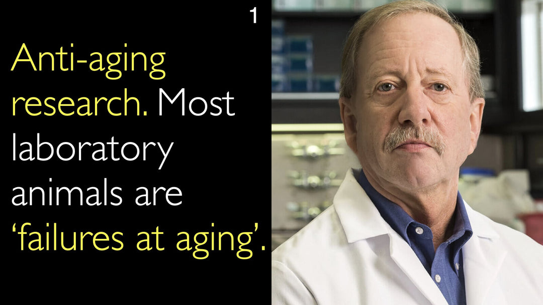 Anti-Aging-Forschung. Die meisten Labortiere sind „Versager beim Altern“. 1