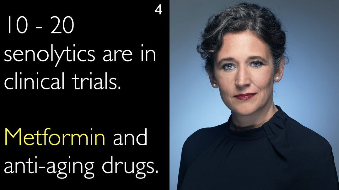 10 bis 20 Senolytika befinden sich derzeit in klinischen Studien, darunter Metformin und andere Anti-Aging-Medikamente.