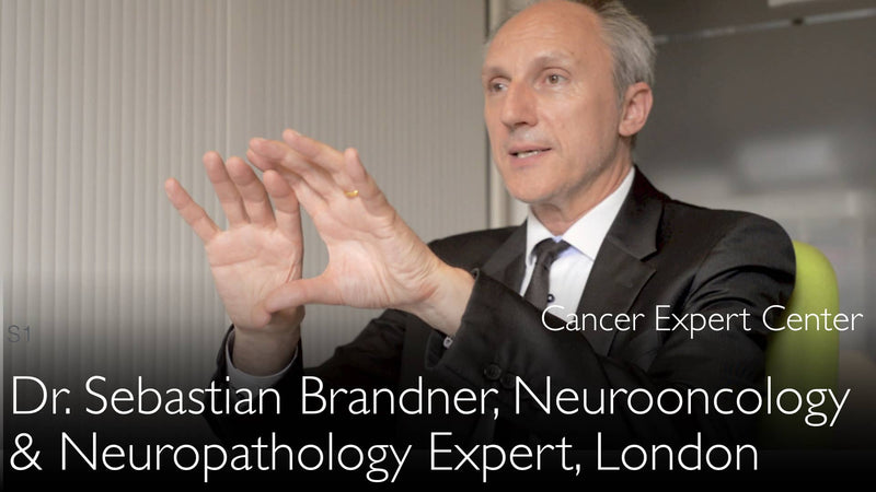 Dr. Sebastian Brandner. Brain tumor neuropathology expert. Biography. 0