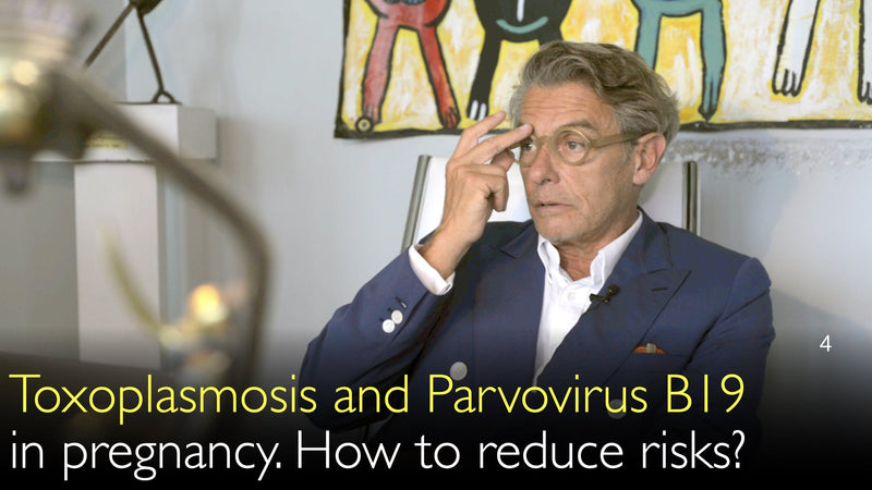 Toxoplasmose und Parvovirus B19 in der Schwangerschaft. Wie können Risiken reduziert werden? 4