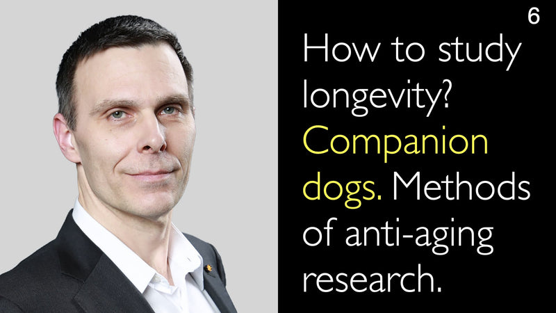 How to study longevity? Companion dogs. Methods of anti-aging research. 6